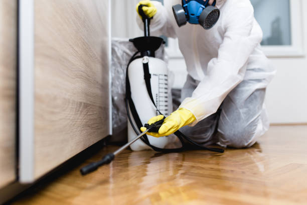Best Flea Control Services  in Burlington, KS