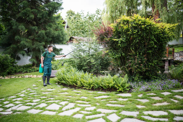 Best Pest Control Treatment  in Burlington, KS