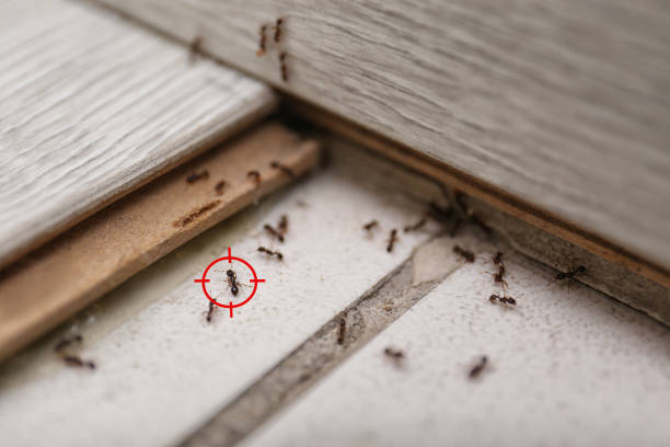 Best Wildlife Control Services  in Burlington, KS
