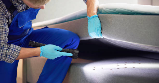 Best Commercial Pest Control Services  in Burlington, KS