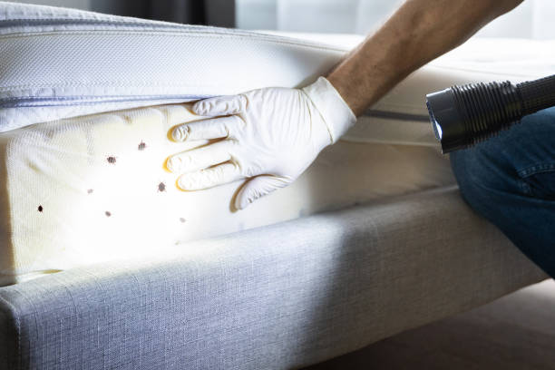 Best Local Pest Control Services  in Burlington, KS