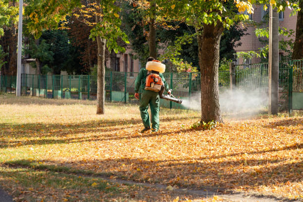 Best Mosquito Control Services  in Burlington, KS