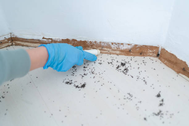 Best Pest Control Cost  in Burlington, KS
