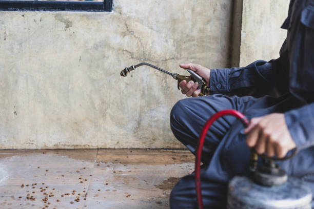 Best Affordable Pest Control Services  in Burlington, KS